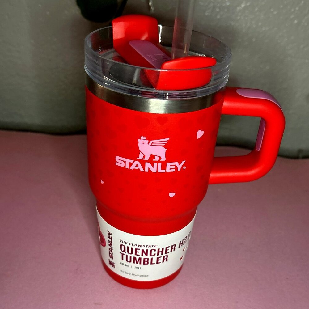 Stanley Valentines Day Heart 20 oz Exclusive Target Ruby Hearts Tumbler NEW